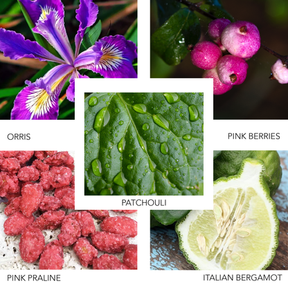 KIERIN Nitro Noir fragrance notes collage with orris, pink berries, patchouli, praline and bergamot.