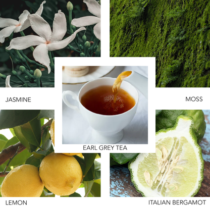 KIERIN Sunday Brunch fragrance notes collage with jasmine, moss, Earl Grey tea, lemon and bergamot.