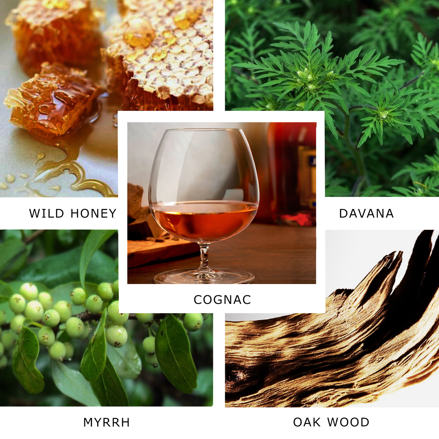 SCENTXONE Seductive Graffiti Art Perfume